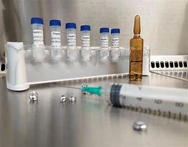 Image result for covid 19 vaccine development